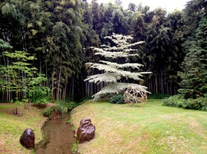 La Bambouseraie d'Anduze