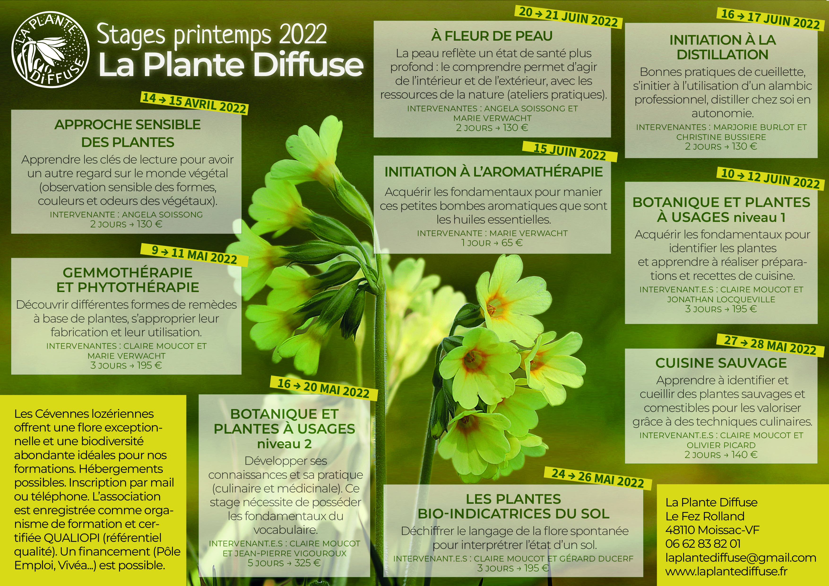 Printemps 22 - print(1)